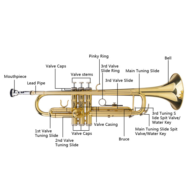 Drop-B Adjustable Trumpet Gold Finish High-Quality Brass BB Trumpet for New Learners with Crystal-Clear Sound and Elegant Case