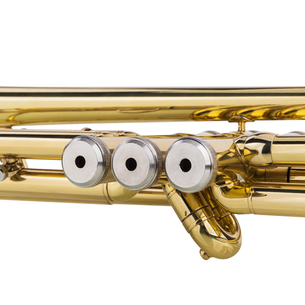 Drop-B Adjustable Trumpet Gold Finish High-Quality Brass BB Trumpet for New Learners with Crystal-Clear Sound and Elegant Case