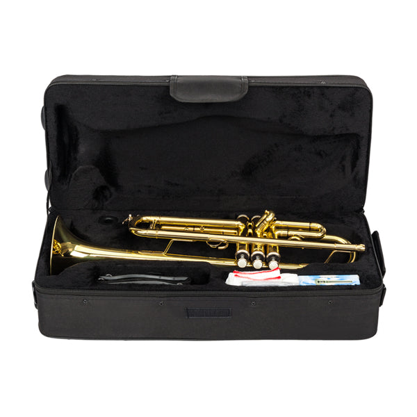 Drop-B Adjustable Trumpet Gold Finish High-Quality Brass BB Trumpet for New Learners with Crystal-Clear Sound and Elegant Case